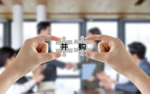 中誠咨詢IPO過會 募資總額砍掉1.3億，董事長夫人控股達86.98%