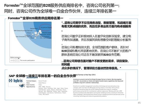 解讀大型快消集團(tuán)數(shù)字化營(yíng)銷系統(tǒng)解決方案 銷售與維護(hù)的精髓